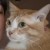 Profile picture of REILAND ROBI MARI�O